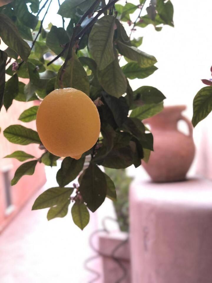 A Casa Dei Sasso Villa Positano Kültér fotó