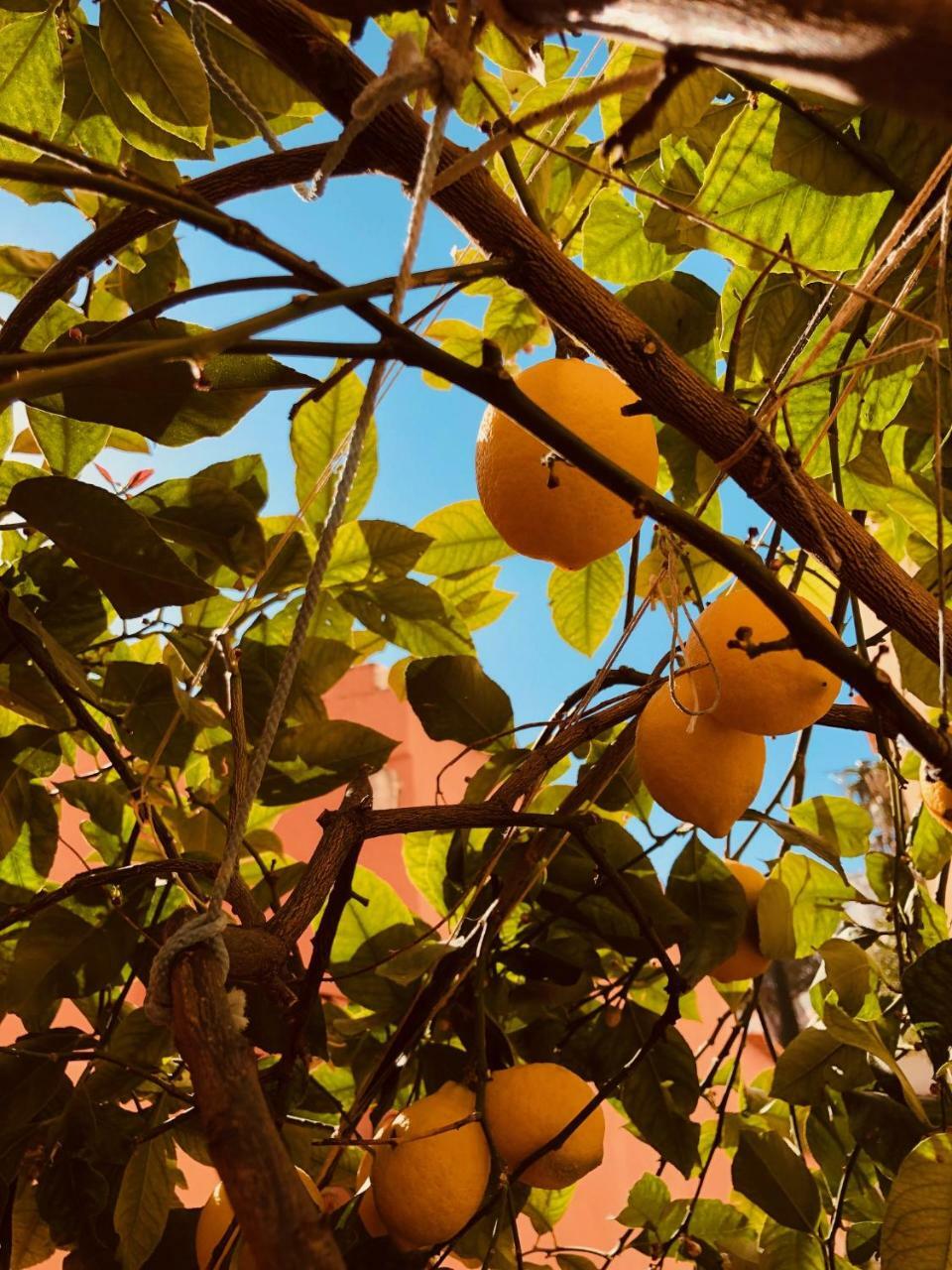 A Casa Dei Sasso Villa Positano Kültér fotó